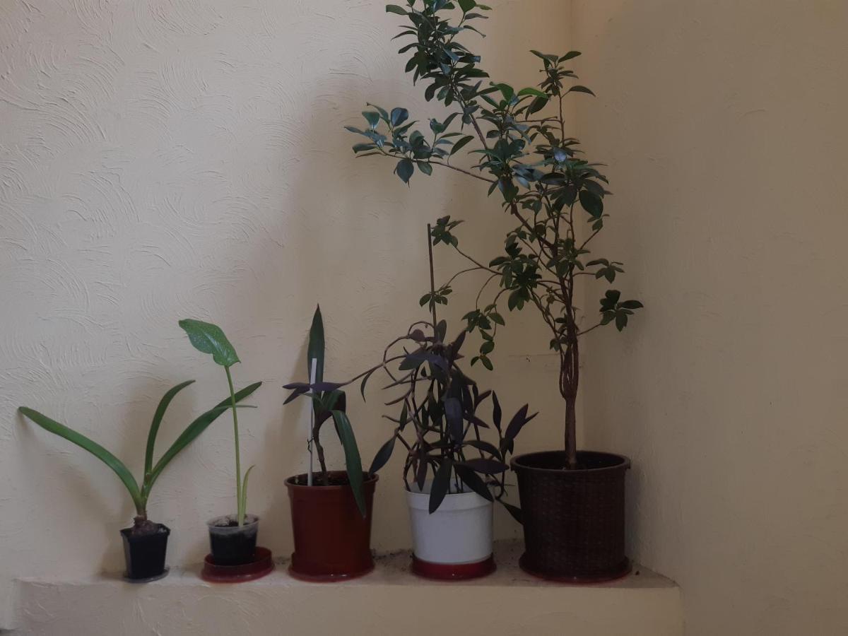 75 Katerynyns'Ka Street Appartement Odessa Buitenkant foto